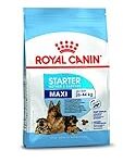 Analyse et comparaison des meilleurs compléments nutritionnels : Le Royal Canin en tête de liste! Analyse et comparaison des meilleurs compléments nutritionnels : Le Royal Canin en tête de liste!